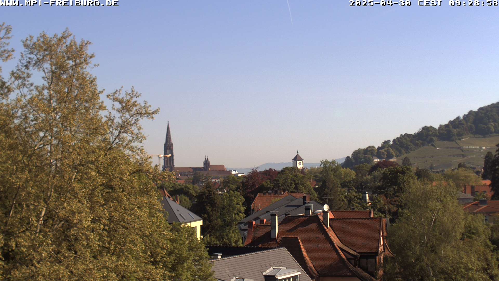 Live Bild der linken Webcam