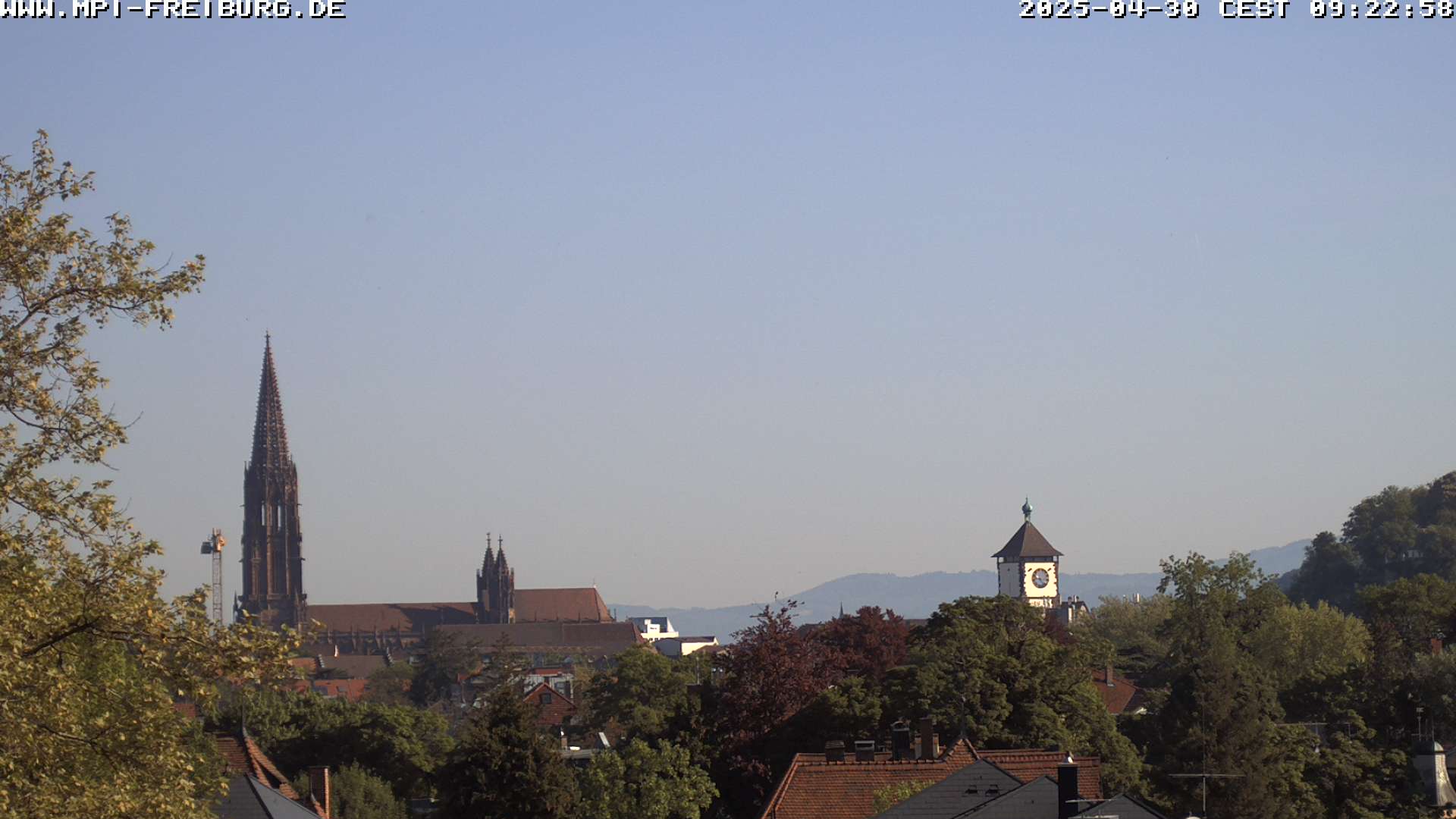 Live Bild der rechten Webcam